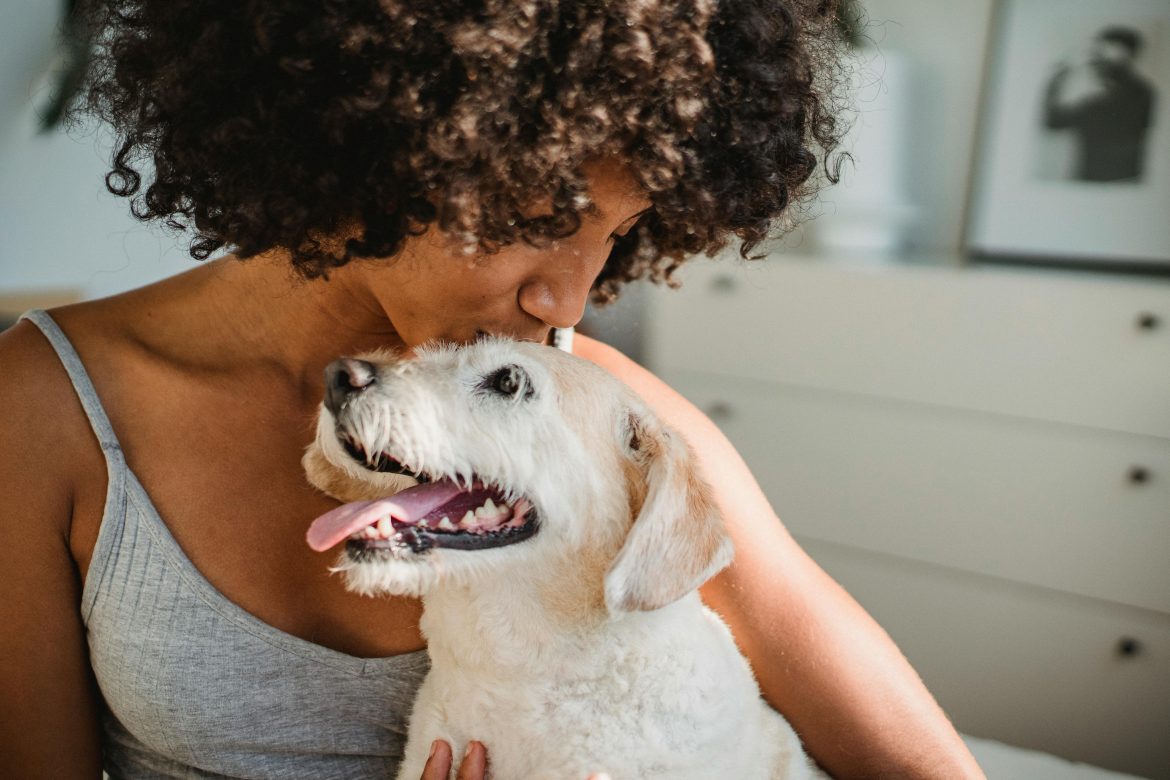 8 little things that make your dog feel safe and happy