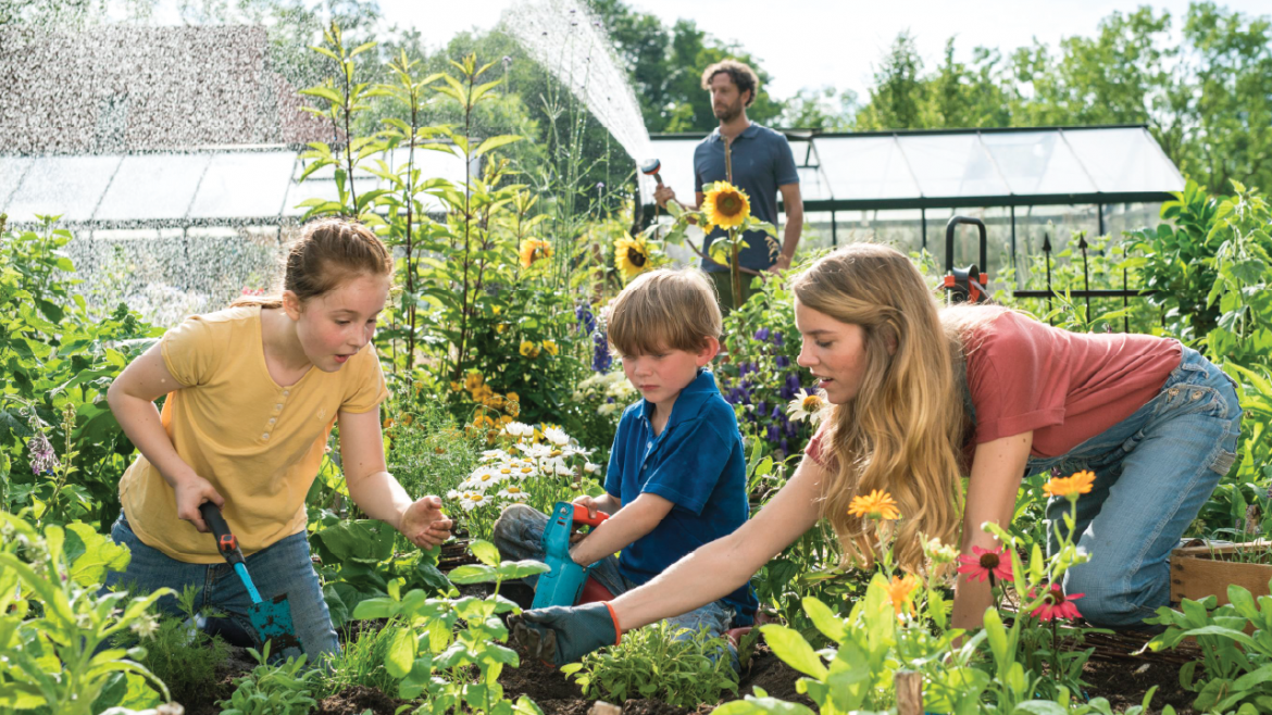 Autumn gardening tips and ideas