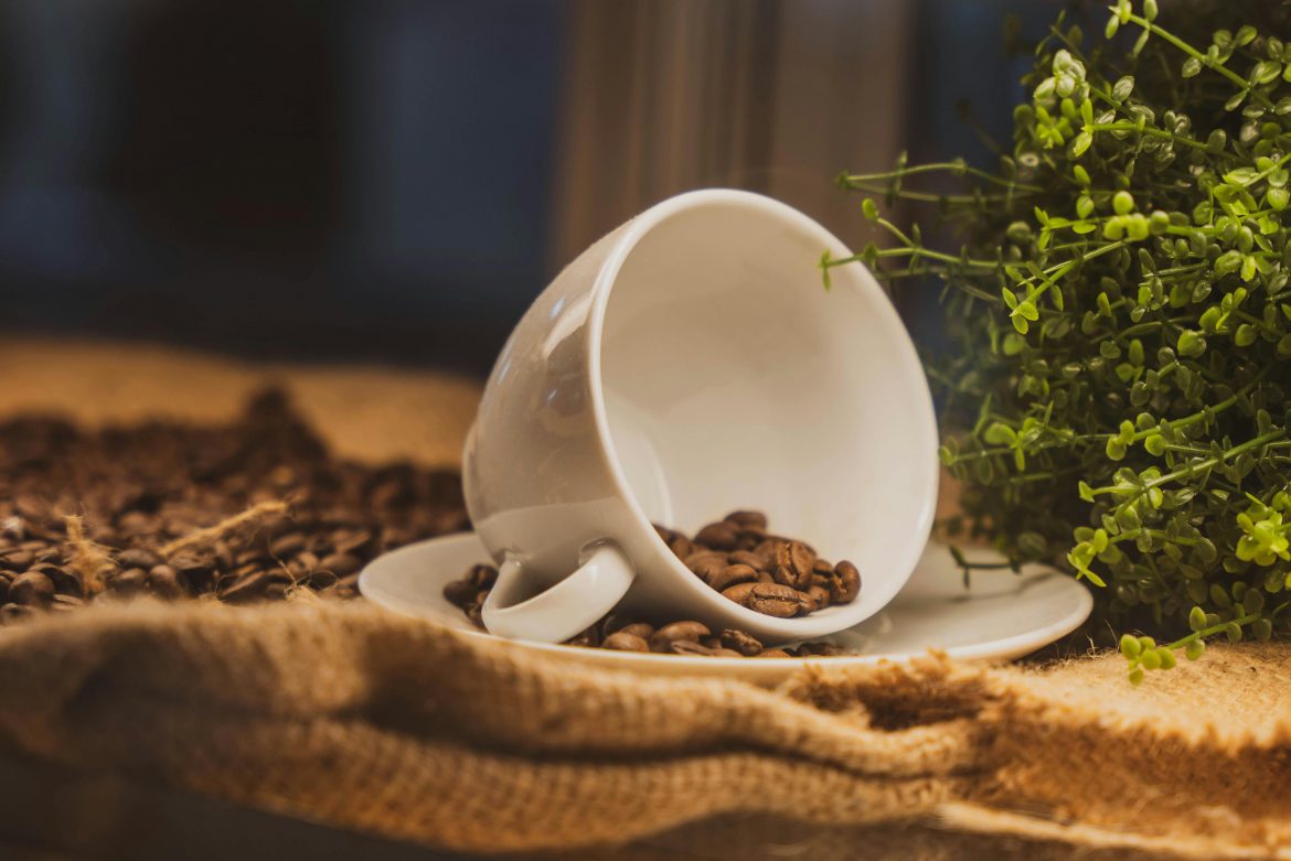 Are coffee grounds good for your houseplants?