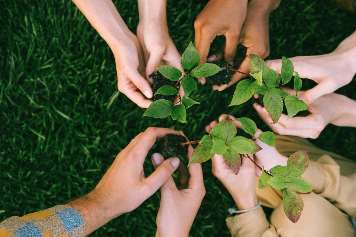 5 Things to know about volunteering while travelling