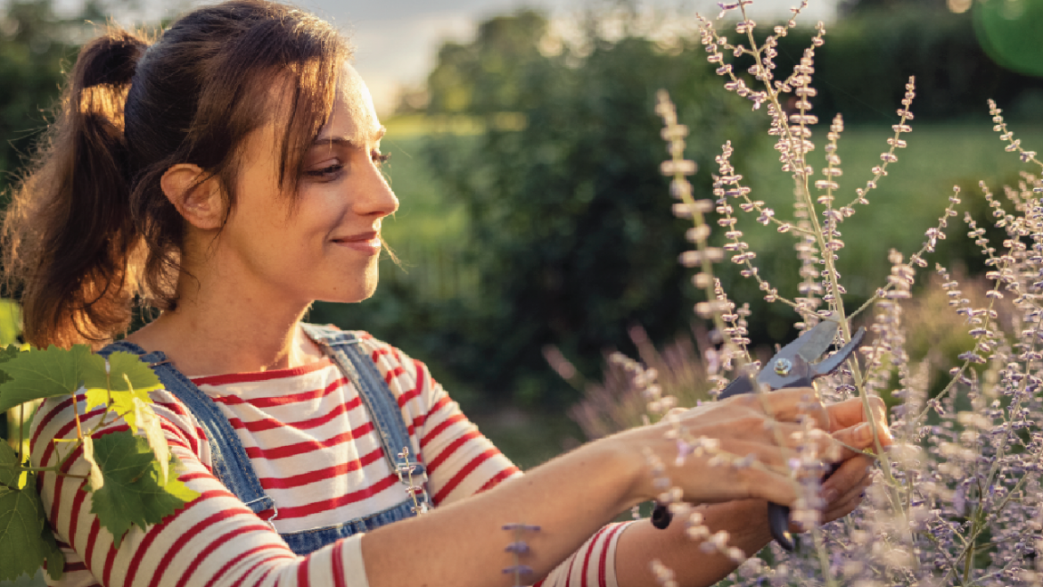 Winter proofing your garden