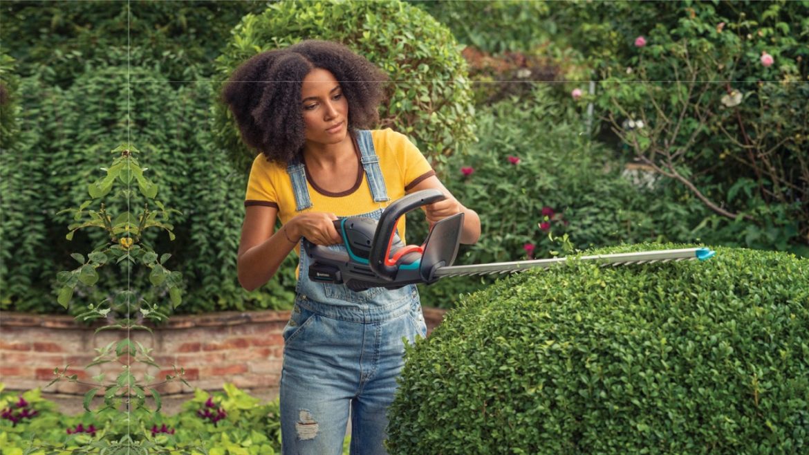 Winter maintenance for your garden