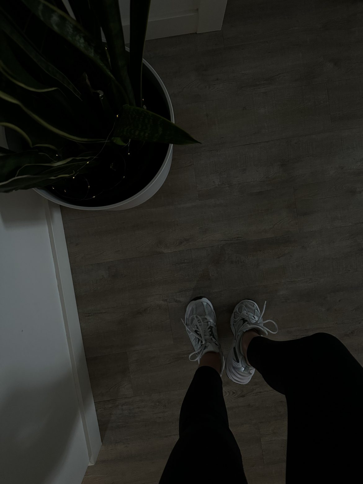 How to get 10,000 steps a day—without setting foot outside