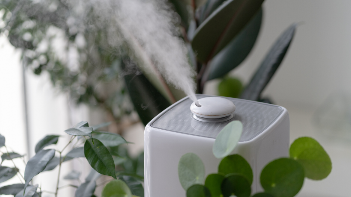 Why you need a humidifier this winter – even if your home already feels damp