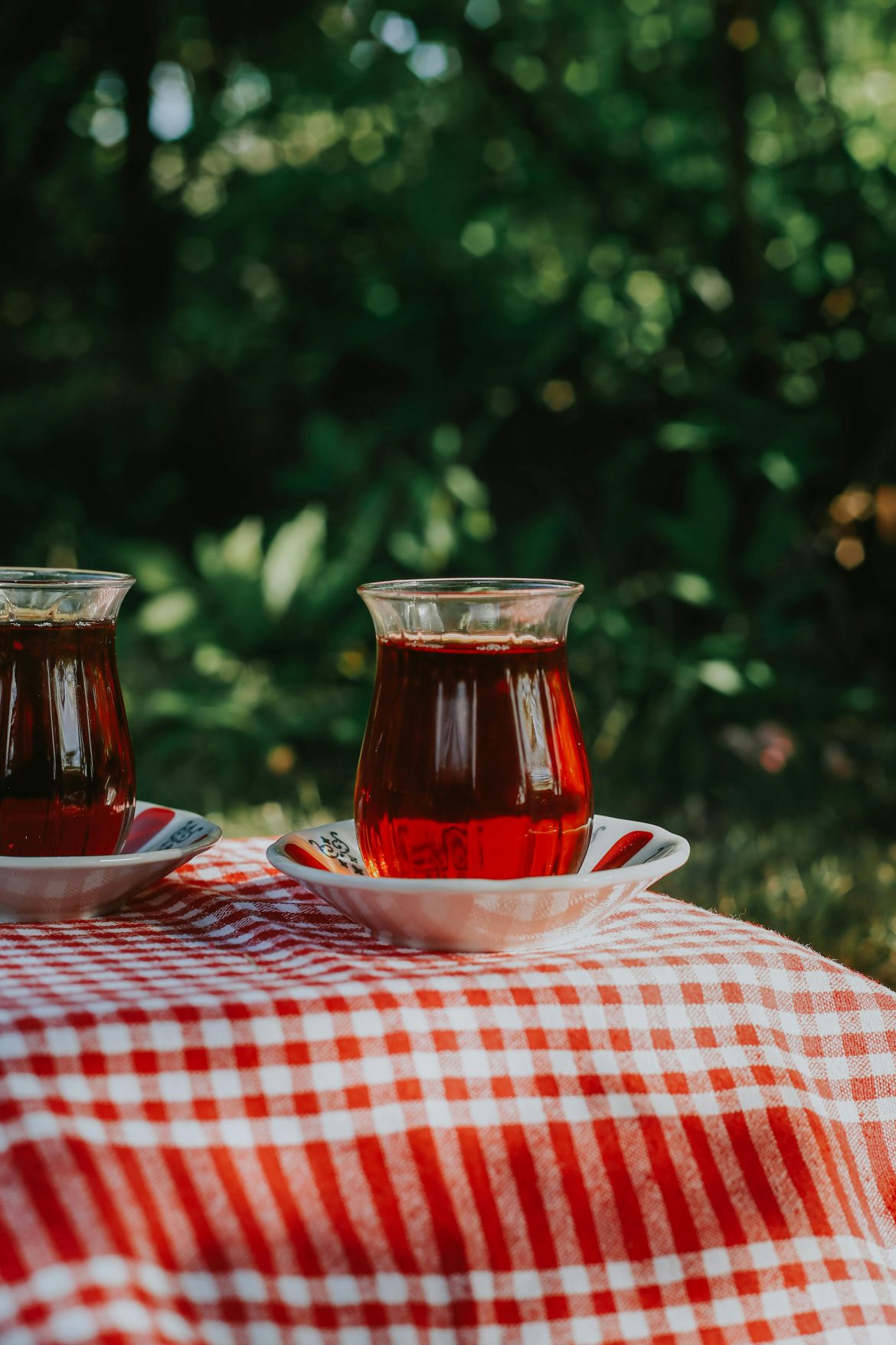 How to make compost tea and why it’s worth it