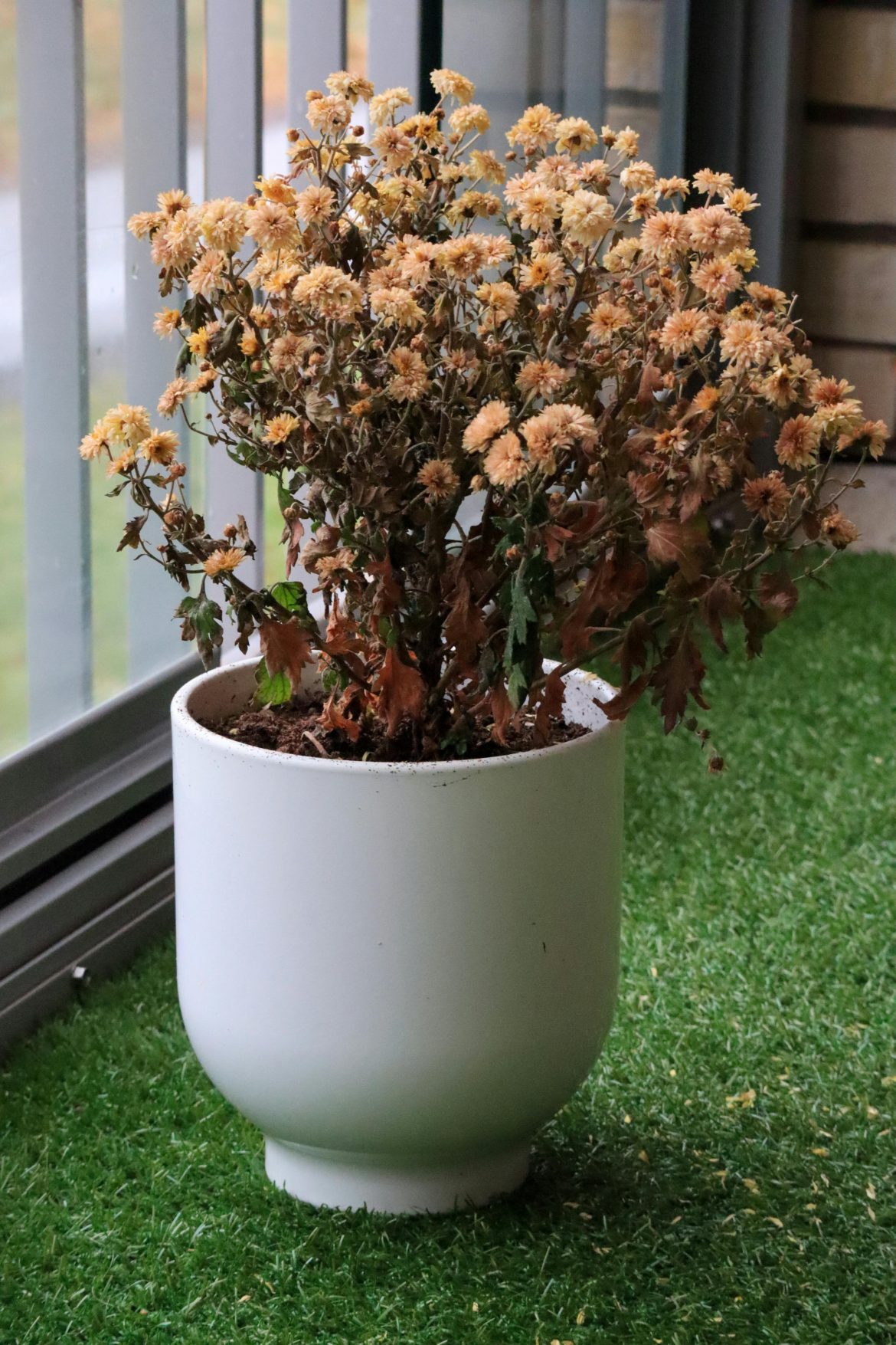 Creative ways to use artificial grass in your home 