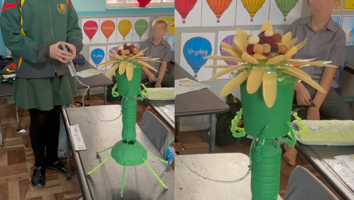 Star grade 7 pupil from Brits goes viral for impressive school project