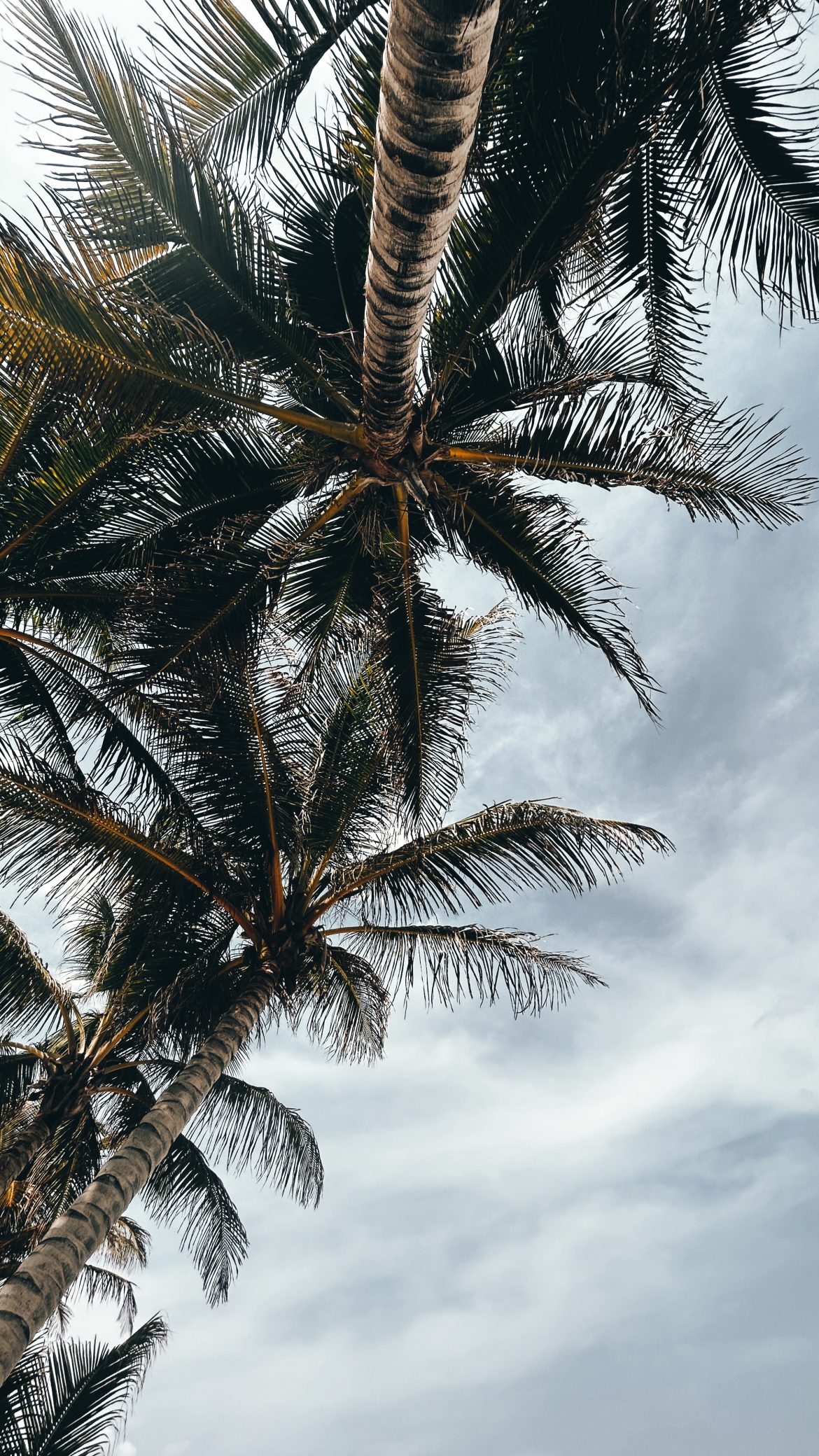 Why you need a freedom fund and how to go about it