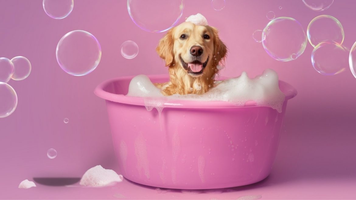 Allerderm® Normal Skin Shampoo by Virbac – A gentle, science-backed solution for healthier pets