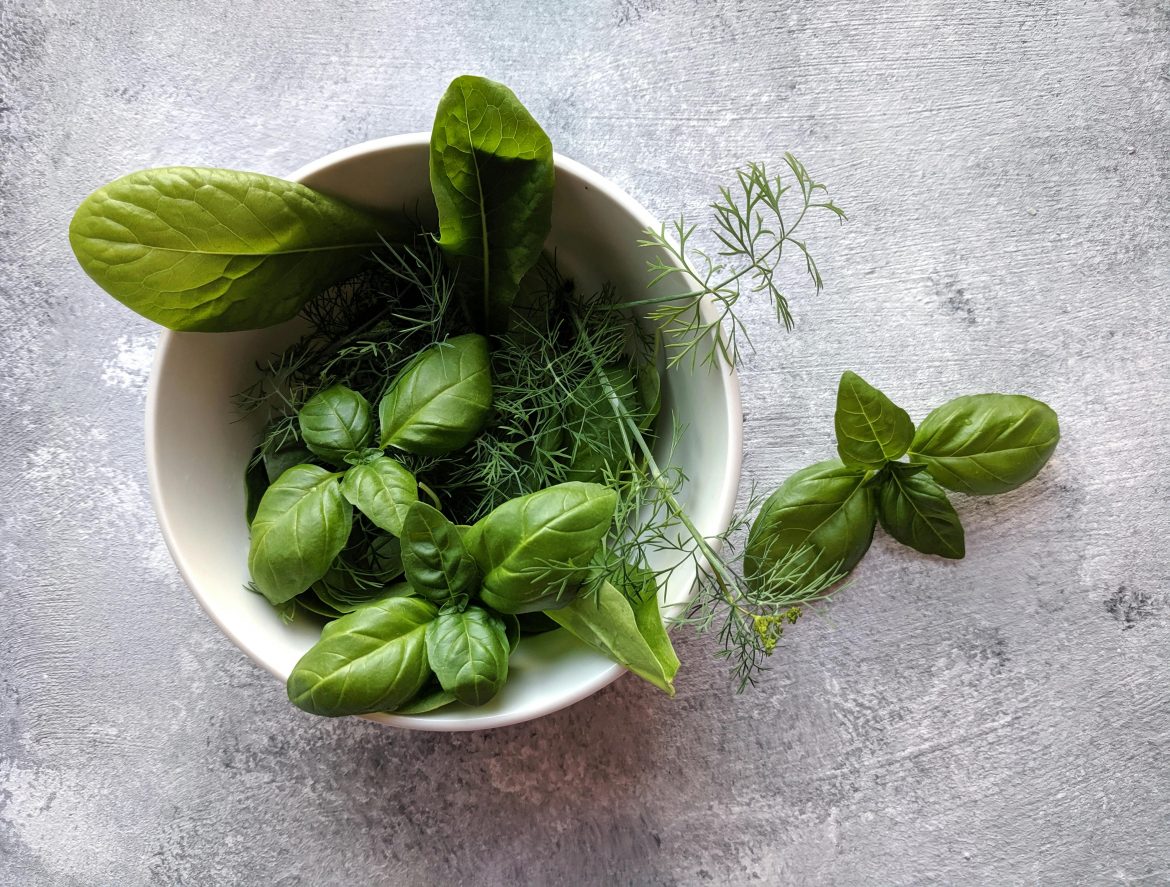 How to make your basil grow faster