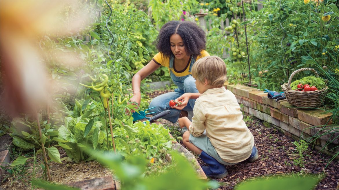 Get rid of weeds and prepare your garden for the gardening season