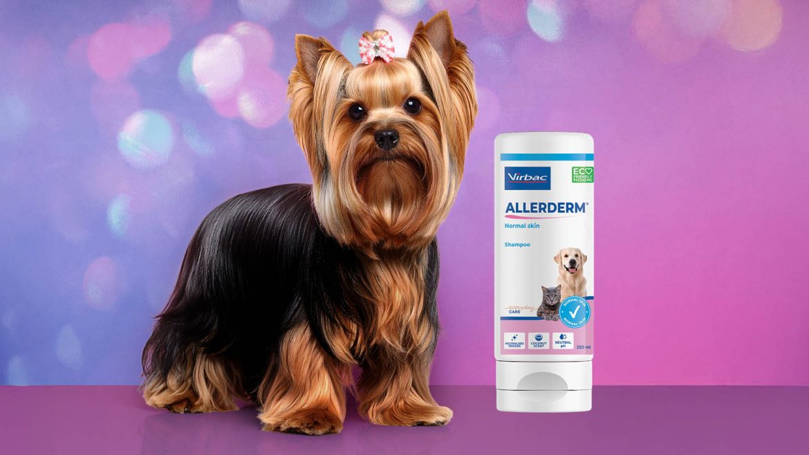 Allerderm® Normal Skin Shampoo by Virbac – A gentle, science-backed solution for healthier pets