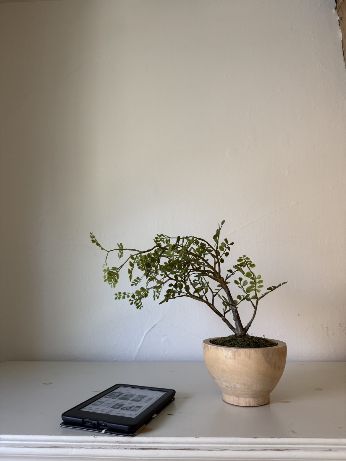 How to take care of your Bonsai tree with grace and elegance