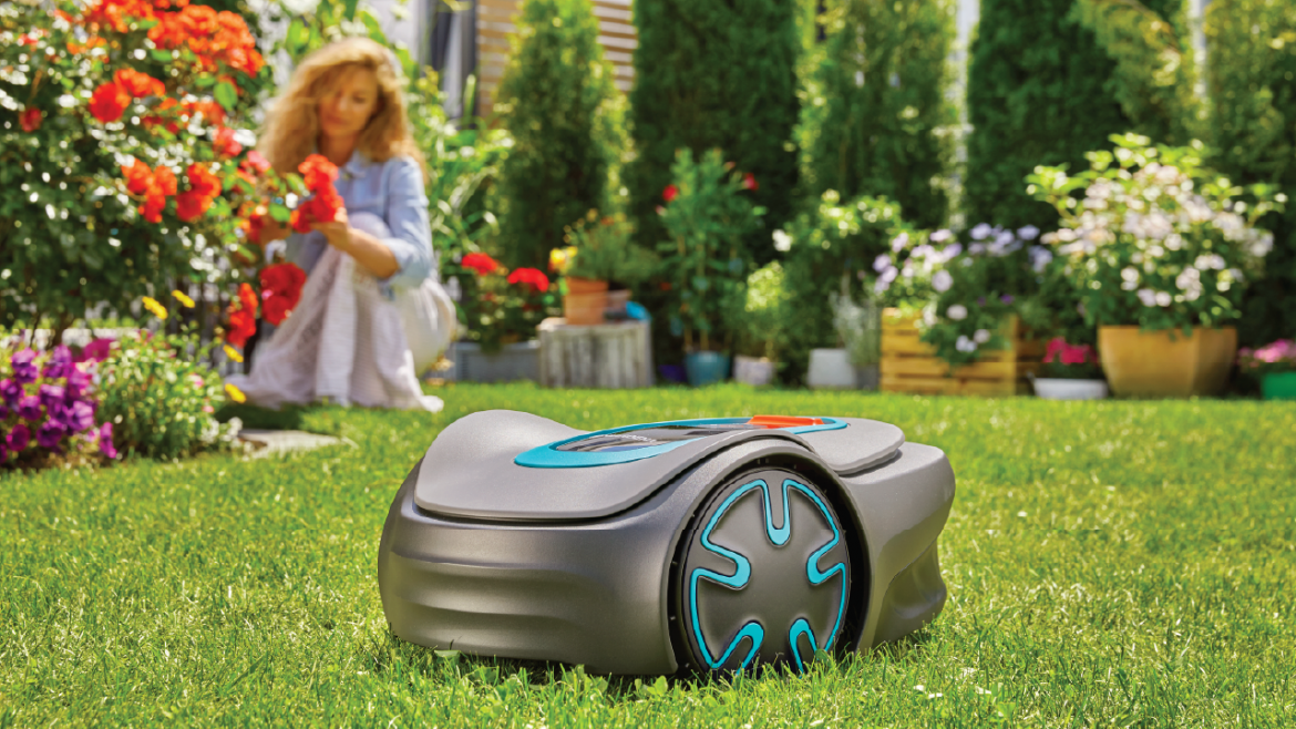 Summer lawn care tips: How to keep your lawn healthy and vibrant in the heat