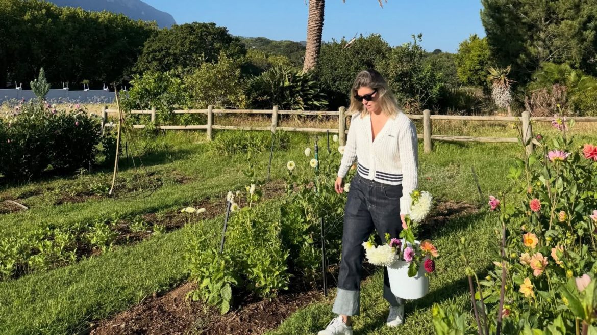 ‘I choose peace’: Rachel Kolisi speaks out as Siya Kolisi goes public with new relationship