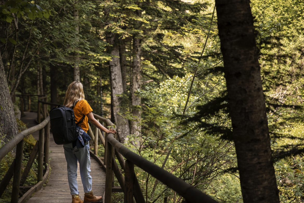 The healing power of forest bathing