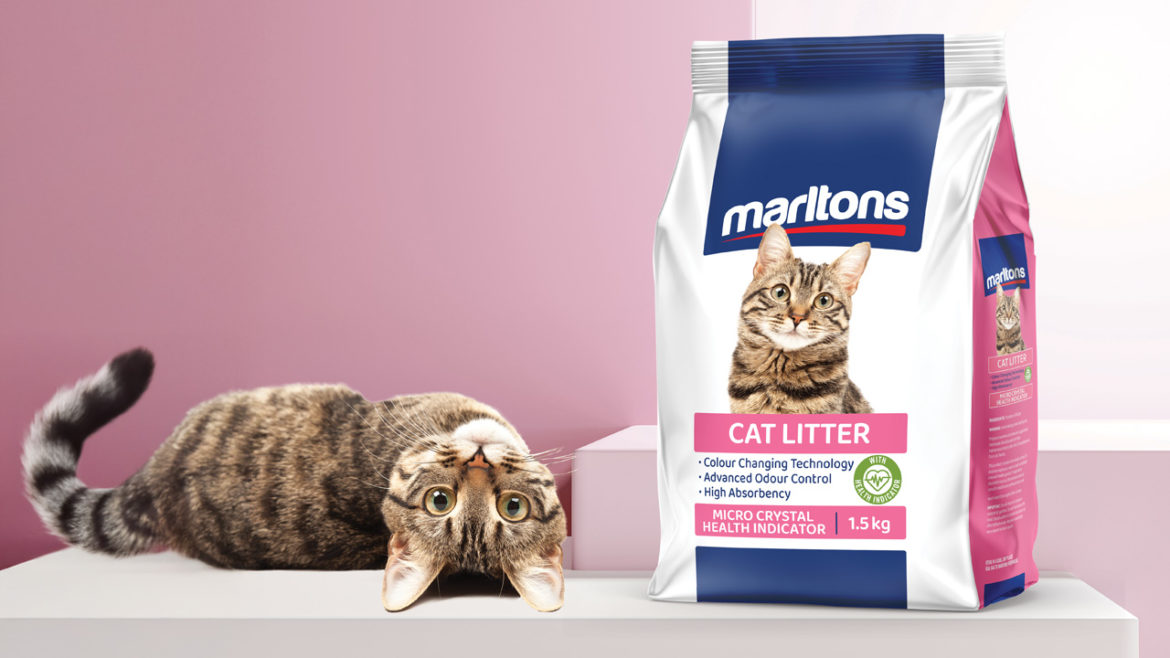 This cat litter changes colour to flag potential health problems — a first for South Africa