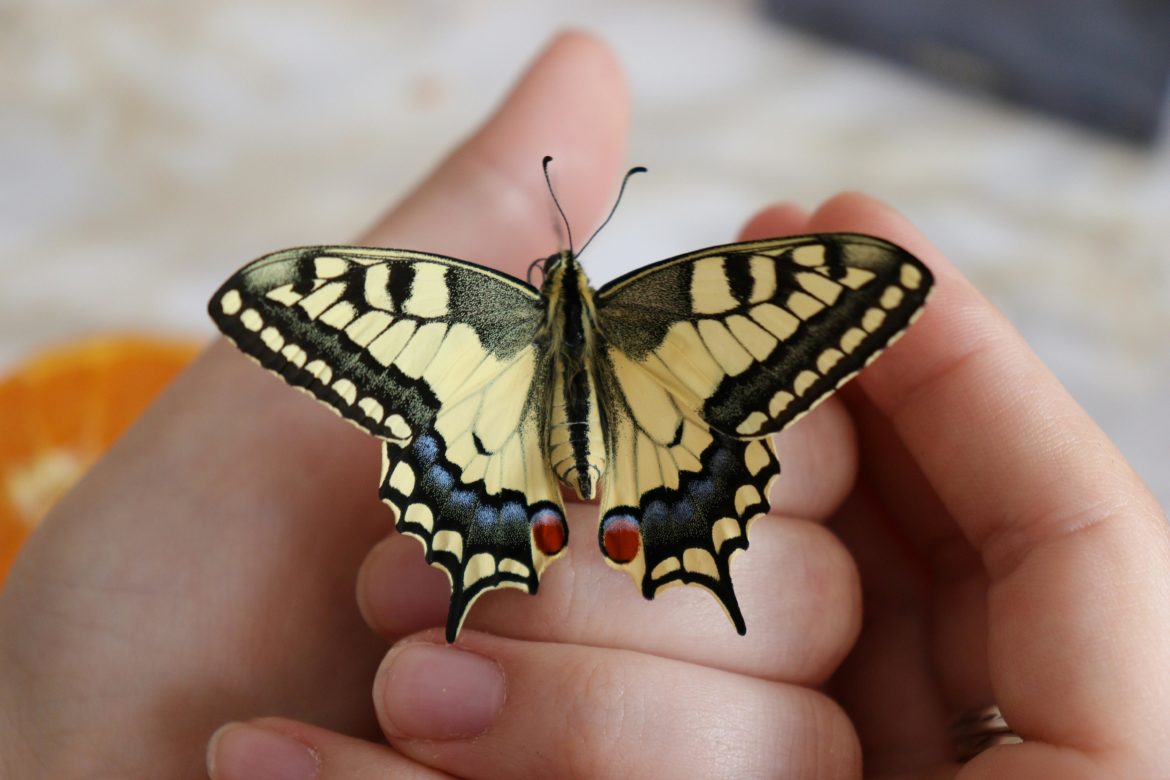 Signs you’re outgrowing your life – and what to do next