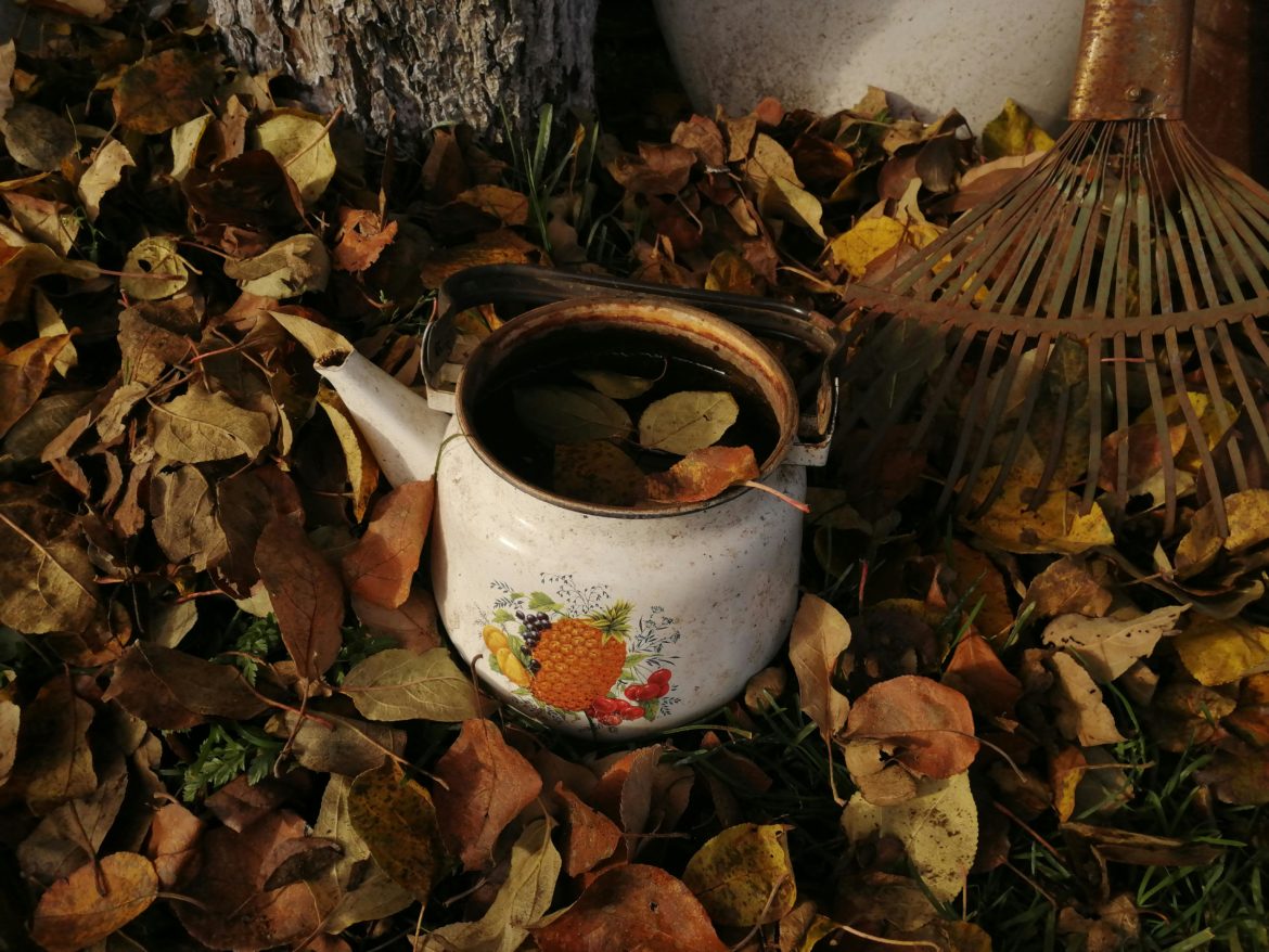 Simple steps for preparing your garden for autumn