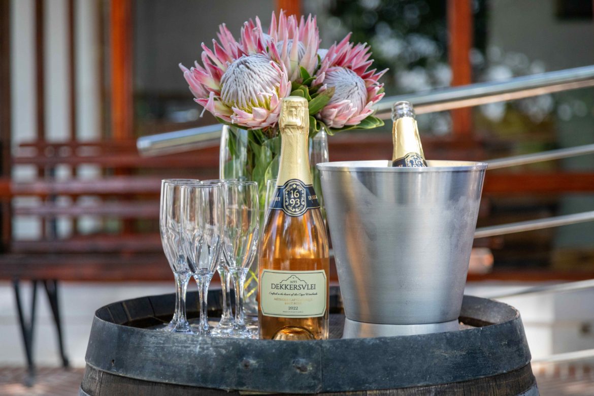 Discover Dekkersvlei: the Cape Winelands’ new must-visit experience