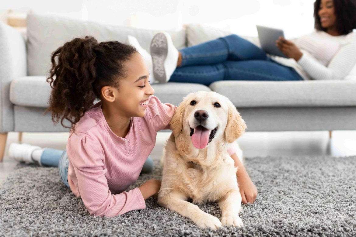 World Microbiome Day: The hidden ecosystem connecting you and your pet
