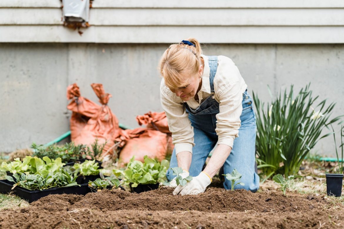 How to build better garden soil this winter