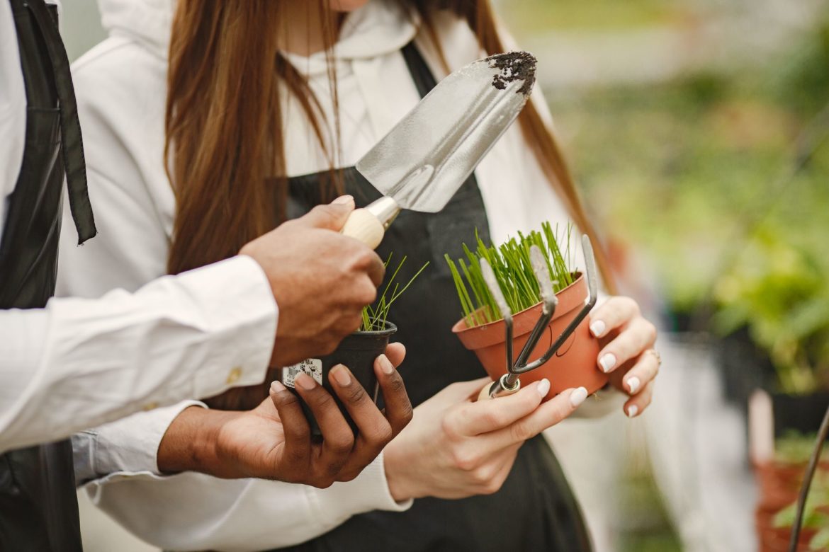 Your July gardening checklist