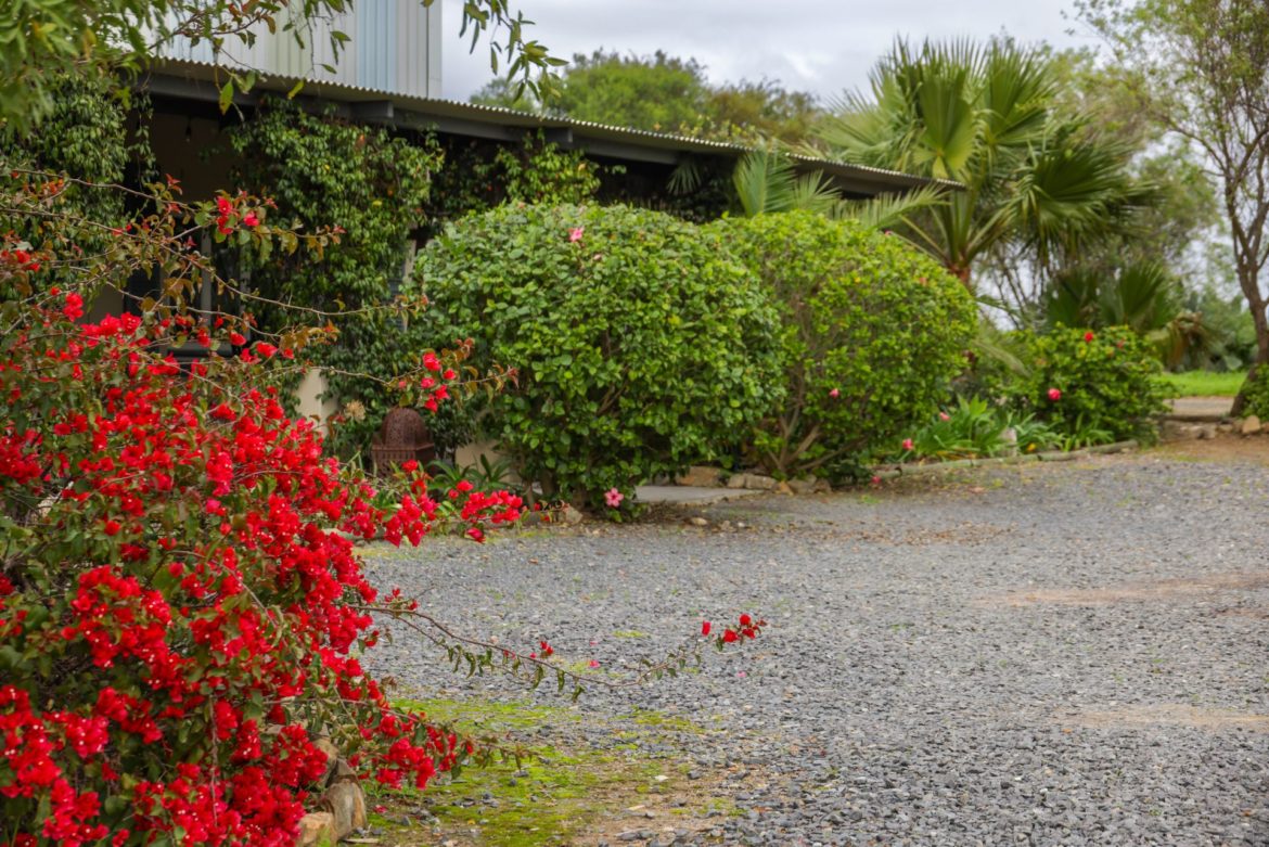 How to upgrade your gravel driveway with plant beds