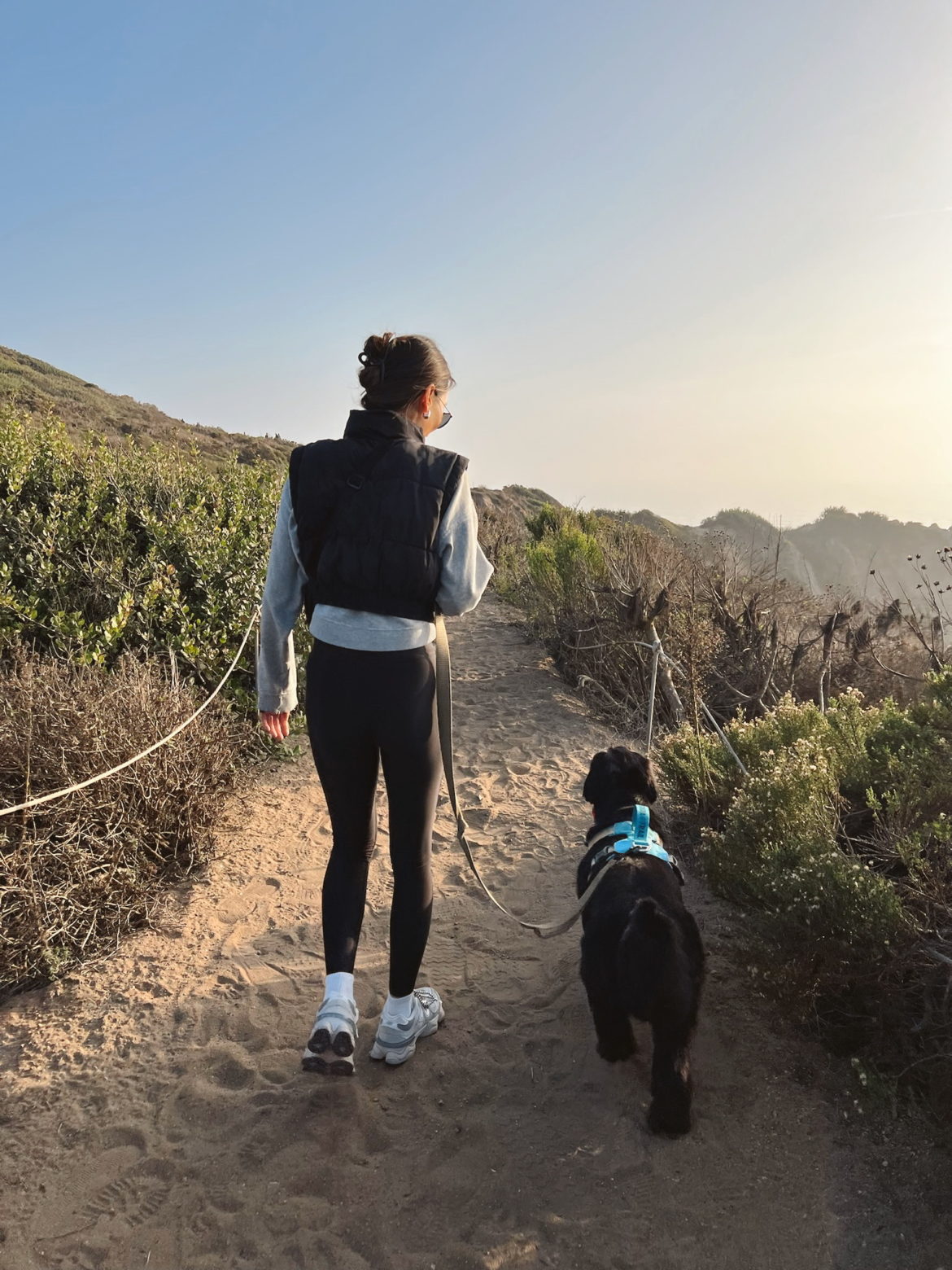 The surprising health benefits of walking after every meal