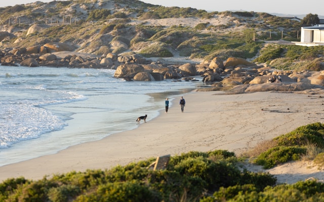 South African escapes that feel like a trip overseas