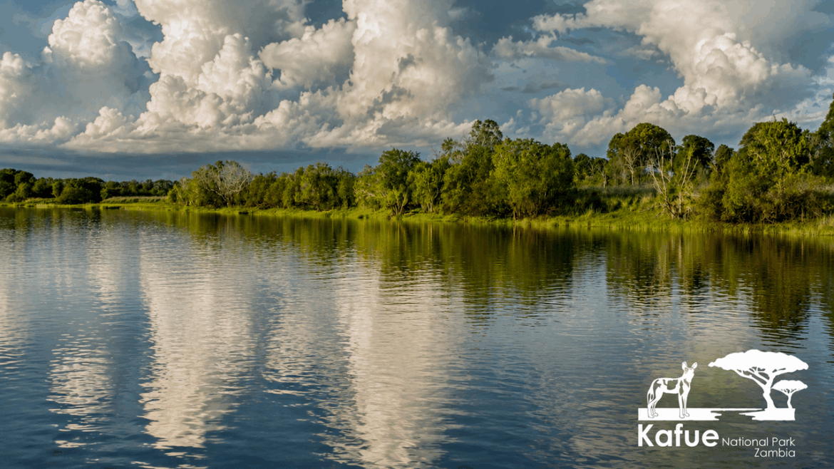 Kafue National Park: Where Wild Africa Comes Back to Life