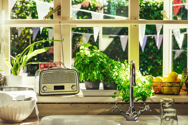 The best herbs to grow indoors for fresh flavour all year round
