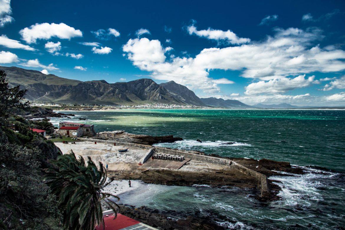 Five South African destinations that come alive in spring