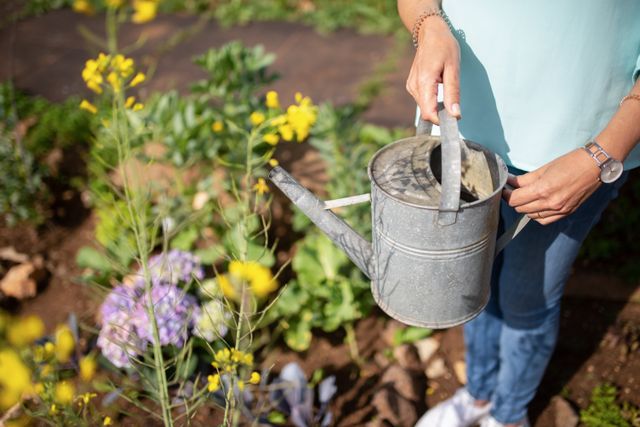 How to revive a garden you’ve neglected