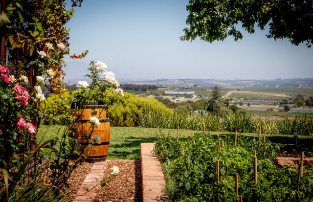 7 Things to do in the Cape Winelands other than wine tasting