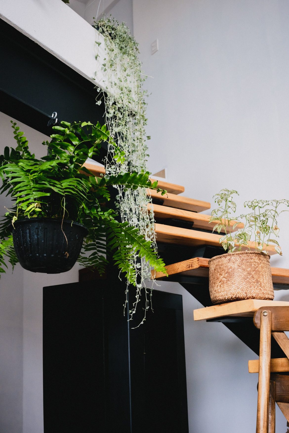 Biophilic design: how to bring nature indoors